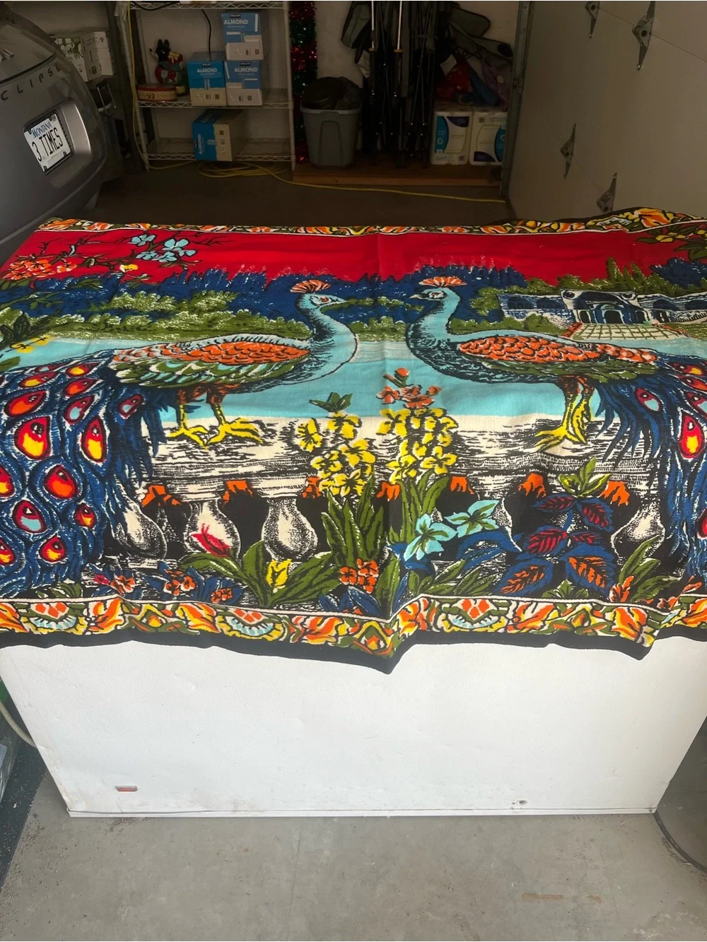 Vintage 1970’s Vibrant Peacock Tapestry - Red & Turquoise